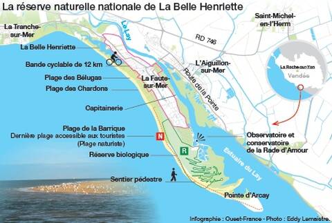 La belle henriette plan