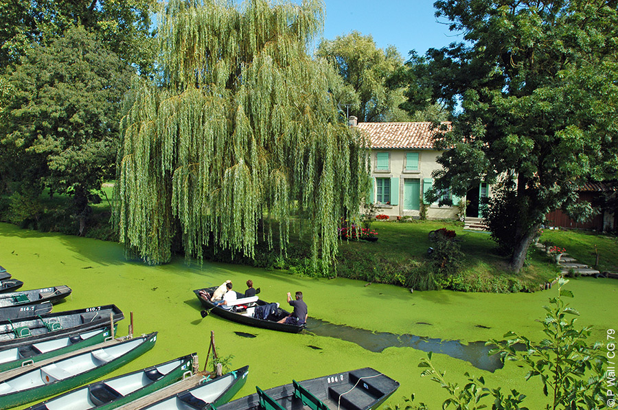 Marais Poitevin 1