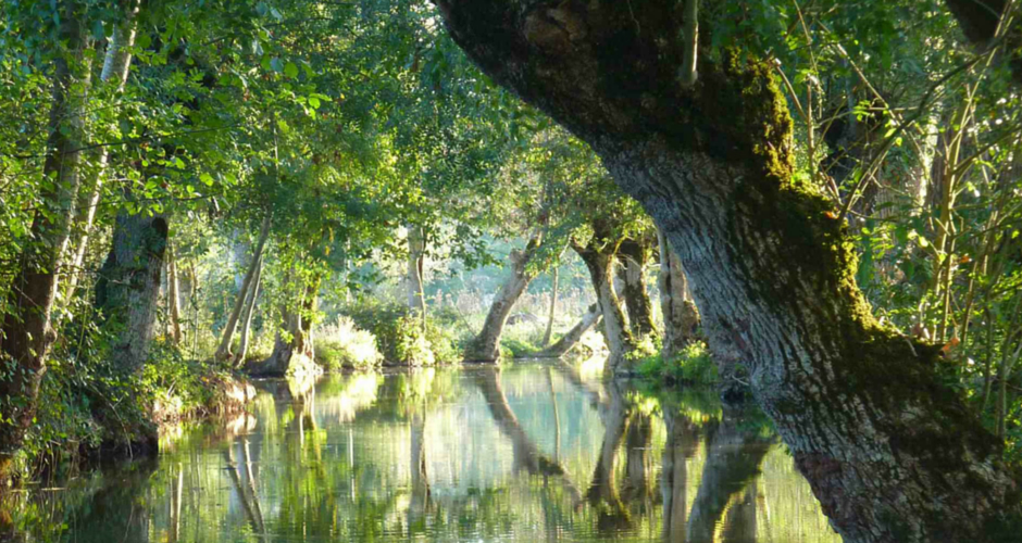 Marais Poitevin 2